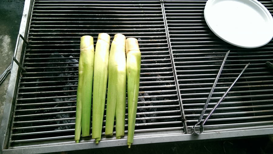 images/forum/2014/2014-09-08 13.30.54.jpg